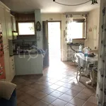 Rent 3 bedroom apartment of 66 m² in Pisa