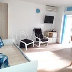 Rent 1 bedroom apartment of 30 m² in Roma