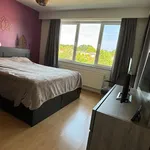 Rent 2 bedroom apartment in Antwerpen