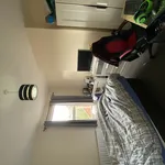 Rent 4 bedroom house in Worcester