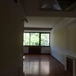 Rent 5 bedroom apartment of 163 m² in Roma