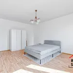 Pronajměte si 1 ložnic/e byt o rozloze 39 m² v Ostrava