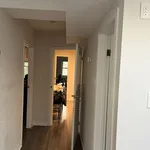 Rent 1 bedroom apartment in Old Toronto