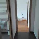 Rent 1 bedroom apartment of 110 m² in seregno