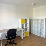 Rent 1 bedroom apartment in Hradec Králové