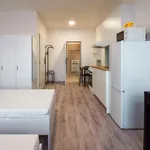 Rent 1 bedroom apartment in Brno