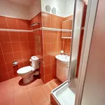 Rent 1 bedroom apartment in Praha 9