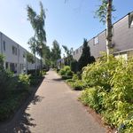 Rent 3 bedroom house of 100 m² in Eindhoven