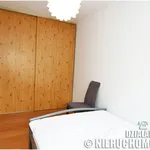 Rent 2 bedroom apartment of 38 m² in Poznan