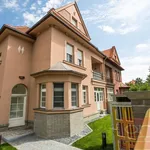 Rent 1 bedroom house of 250 m² in Capital City of Prague