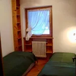 Rent 3 bedroom apartment of 82 m² in Cortina d'Ampezzo