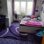 Rent 2 bedroom apartment in Ústí nad Orlicí