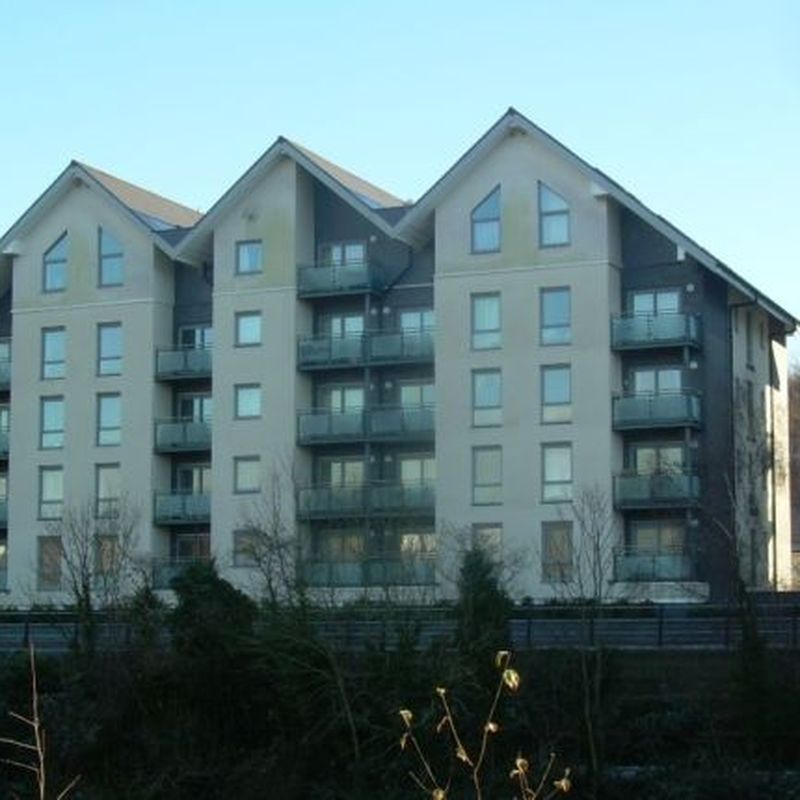 Flat to rent in Neptune Apartments, Phoebe Road, Copper Quarter, Pentrechwyth, Swansea. SA1 Landore