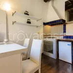 Rent 3 bedroom apartment of 80 m² in Firenze