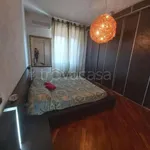 Rent 2 bedroom apartment of 65 m² in Milano