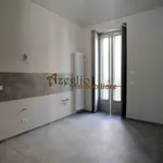 Rent 5 bedroom apartment of 150 m² in Turin