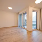 Rent 1 bedroom apartment of 33 m² in Capital City of Prague