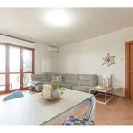 Rent 2 bedroom apartment of 68 m² in Milano