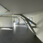 Rent 4 bedroom apartment of 251 m² in Nieuwe Werk