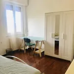 Rent 1 bedroom apartment of 14 m² in ancona