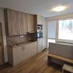 Rent 1 bedroom apartment of 26 m² in Přerov