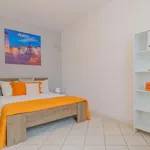 Rent a room in trento