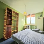 Rent 2 bedroom apartment of 38 m² in Warszawa