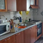 Rent 5 bedroom apartment in Rome