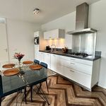 Rent 1 bedroom apartment of 62 m² in Den Haag