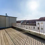 Rent 1 bedroom apartment of 29 m² in Berlin