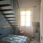 Rent 1 bedroom apartment in Florence