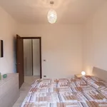 Rent 3 bedroom apartment of 45 m² in Follonica