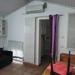 Rent 1 bedroom house of 60 m² in Padova