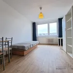 Rent 2 bedroom apartment of 43 m² in Capital City of Prague