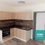 Rent 2 bedroom apartment in Plzeň