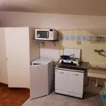 Rent 1 bedroom apartment of 20 m² in Padova