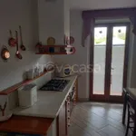 Rent 2 bedroom apartment of 82 m² in Siena