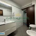 Affitto 4 camera appartamento di 78 m² in Bologna