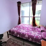 Rent 4 bedroom house in Katherine