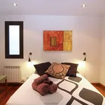 Rent 1 bedroom apartment in Antwerp