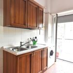 Rent a room of 140 m² in Roma