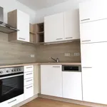 Rent 2 bedroom apartment of 58 m² in Graz