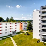 Miete 4 Schlafzimmer wohnung von 81 m² in Am Holz