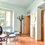 Rent 1 bedroom apartment of 48 m² in rome