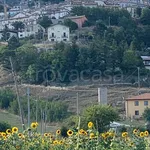 Rent 2 bedroom apartment of 48 m² in Rocca di Cambio