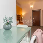 Rent 1 bedroom apartment of 30 m² in Milano