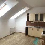 Pronajměte si 1 ložnic/e byt o rozloze 24 m² v České Budějovice