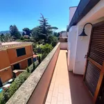 Affittasi Villetta a schiera, Villa a schiera di circa mq 250 con giardino, terrazzo e box - Annunci Marino (Roma) - Rif.575089