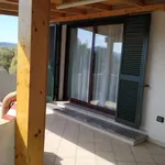 Rent 1 bedroom apartment of 60 m² in Arzachena