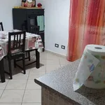 Rent 2 bedroom apartment of 40 m² in Roma